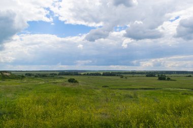 Yeşil tarlaların ve bulutlu gökyüzünün yaz manzarası. Kırsal alan.