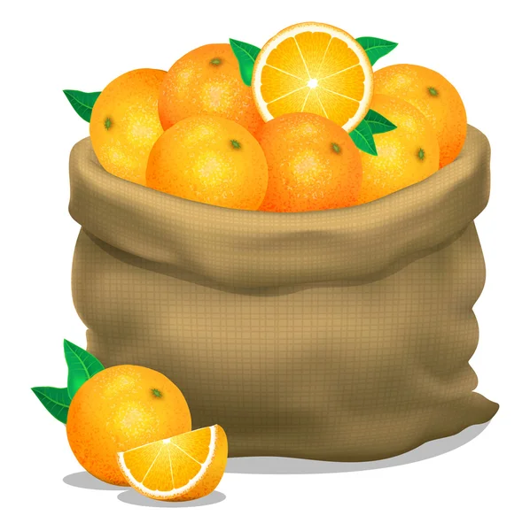 Ilustracja worek pomarańczy na białym tle. Wektor — Wektor stockowy