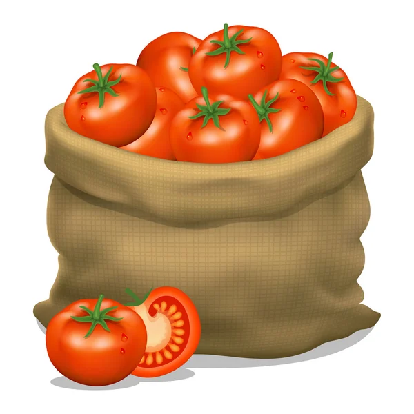 Иллюстрация мешок томатов на белом фоне. Вектор — стоковый вектор