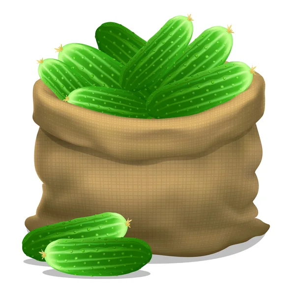 Illustrazione di un sacco di cetrioli su priorità bassa bianca. Vector — Vettoriale Stock