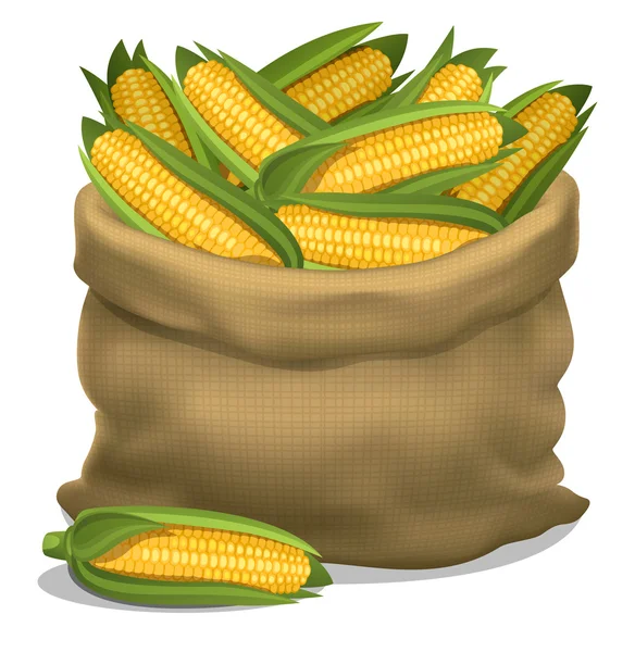 Illustration of a sack of corn on a white background. Vector — Stock Vector