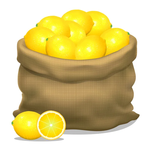 Ilustración de un saco de limones sobre un fondo blanco. Vector de — Archivo Imágenes Vectoriales