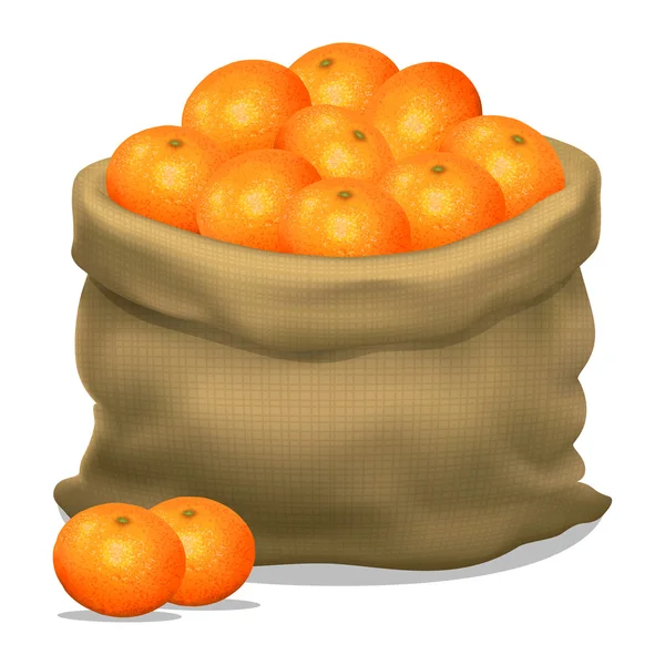 Ilustração de um saco de tangerinas em fundo branco. Vector — Vetor de Stock