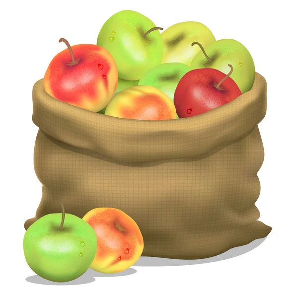Ilustracja worek jabłek na białym tle. Wektor — Wektor stockowy