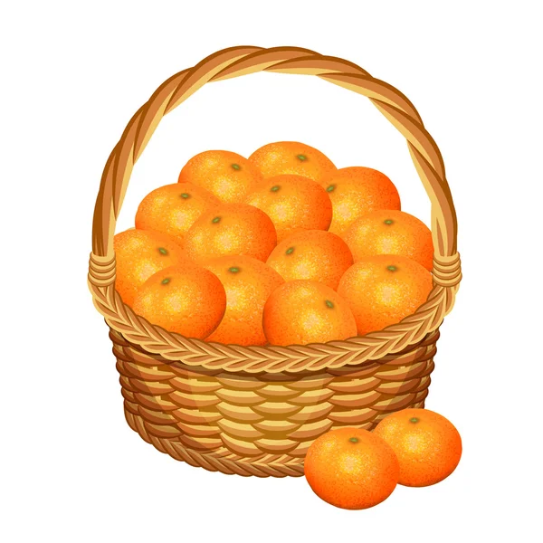 Basket with tangerine fruits. Vector illustration. — Stock Vector