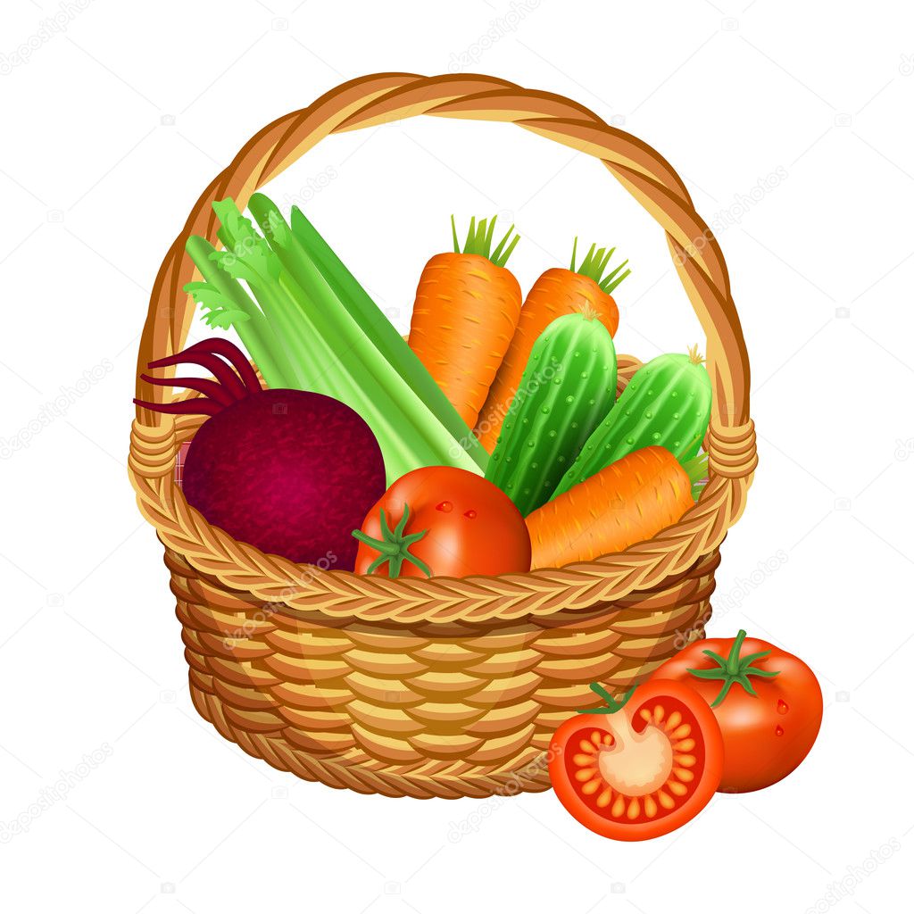 Basket with vegetables isolated on white. Vector illustration.