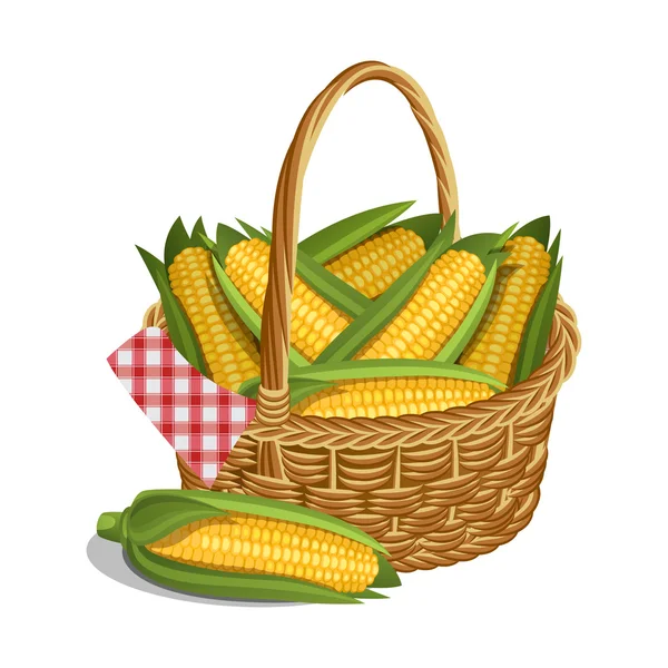Yellow corn in basket, isolated on white. Vector illustration. — Stock Vector