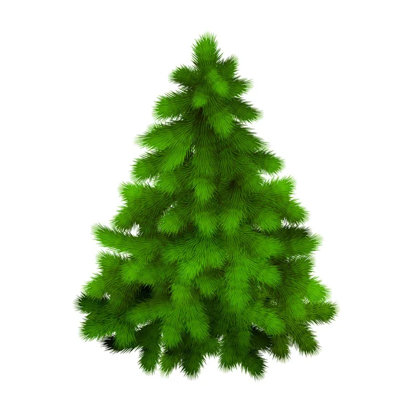 Christmas tree, realistic vector illustration. — Stock Vector