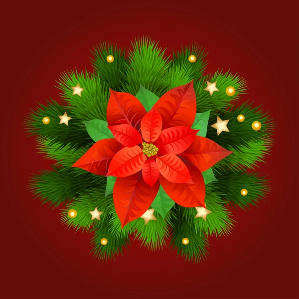 Christmas Star-poinsettia with fir branches. — Stock Vector
