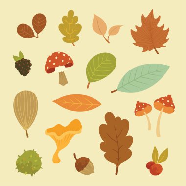 Vektör sonbahar öğeleri kümesi