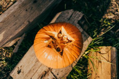 Cadılar bayramı balkabağını balkabağı fenerine yaklaştır.