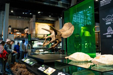 Barselona, İspanya - 18 Ocak 2026: şehir merkezindeki Cosmocaixa müzesinin iç görünümü, bilim ve tarih tutkuları