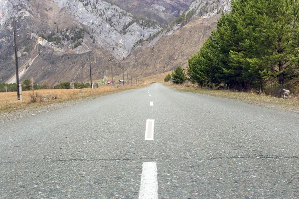 Yemyeşil ağaçlar ve dağlar sütunlarda elektrik enerjisi ile çevrili boş asfalt yol