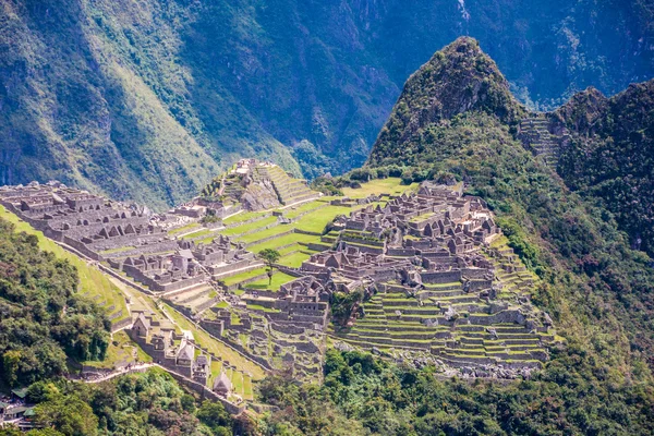 Harabeleri ve terasların Macchu Picchu peyzaj