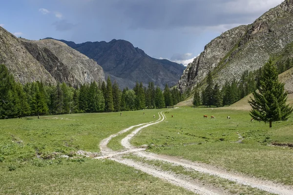 Yol gr sürüsü ile bulutlu yağmurlu gökyüzü arka plan, dağlarda