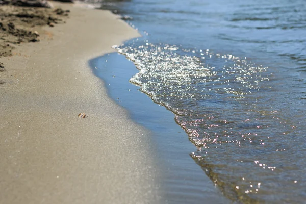 Blu onda morbida sulla spiaggia di sabbia con conchiglia in estate giornata di sole — Foto Stock