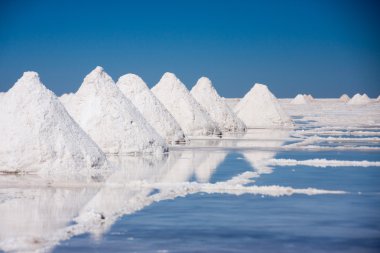 Bolivya, tuz alanları