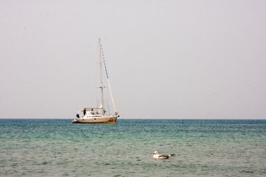 Bir yat ve bir martı