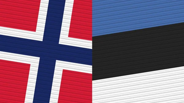 Estonia Norway Two Half Flags Together Fabric Texture Illustration — Stockfoto