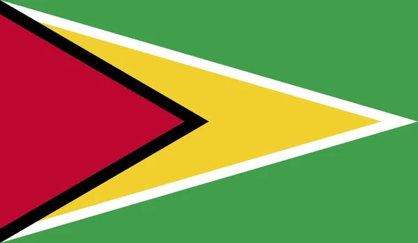 Guyana National Country Flag Official Sign Symbol Illustration — Stock Photo, Image