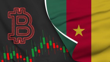 Cameroon Realistic Flag with Bitcoin Icon Fabric Texture Effect 3D Illustration