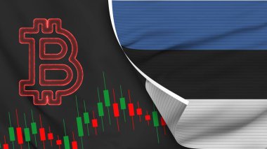 Estonia Realistic Flag with Bitcoin Icon Fabric Texture Effect 3D Illustration