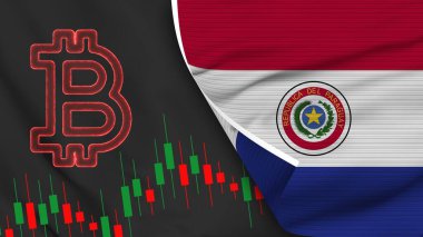 Paraguay Realistic Flag with Bitcoin Icon Fabric Texture Effect 3D Illustration