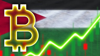 Neon Işık Efektli Filistin Gerçekçi Bayrağı Bitcoin Simgesi Radyal Görüntü Kumaş Doku Efekti 3D İllüstrasyon