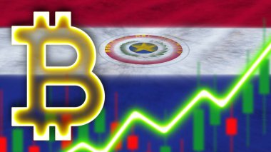 Paraguay Gerçekçi Bayrağı Neon Işık Efekti Bitcoin Simgesi Radyal Görüntü Kumaş Doku Efekti 3B İllüstrasyon