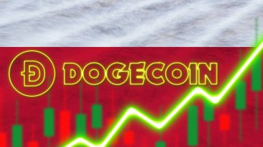Polonya Bayrağı Neon Işık Efekti Doge Madeni Para Logosu Radyal Kumaş Doku Efekti 3D Görüntü Efekti