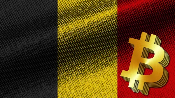 Belçika Gerçekçi Kumaş Doku Efekti Dalgalı Bayrak Altın Metalik Doku — Stok fotoğraf