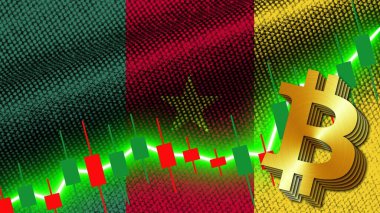Kamerun Kumaşı Doku Dalgalanması Bayrağı, Borsa Finans Grafiği, Metalik Bitcoin Simgesi, 3D İllüstrasyon