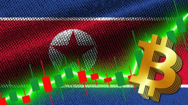 Kuzey Kore Kumaş Kumaşı Dalgalı Bayrak, Borsa Finans Grafiği, Metalik Bitcoin Simgesi, 3D İllüstrasyon
