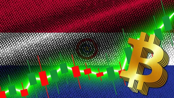 Paraguay Textur Wellenförmige Flagge Graph Zur Börsenfinanzierung Metallische Bitcoin Ikone — Stockfoto