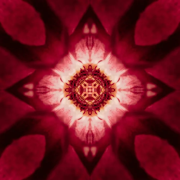 Design Abstract Flori Roșii Ilustrație — Fotografie, imagine de stoc