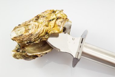 Fresh open oyster with knife clipart