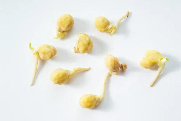 Chickpeas on white background — Stock Photo, Image