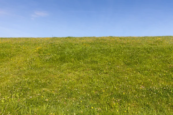 Dyke and green meadow — Stock Photo, Image