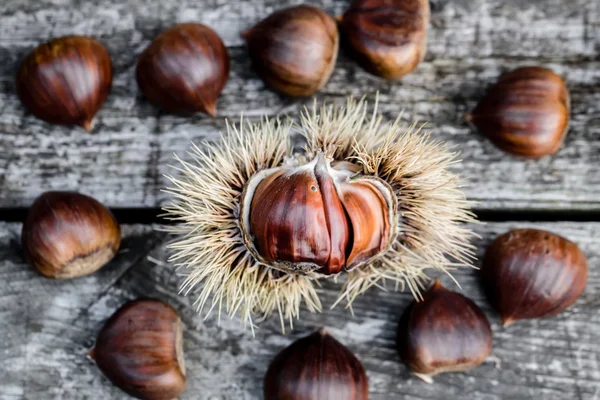 Maroni on wooden background — Stock Photo, Image