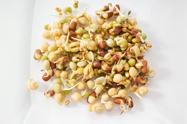 異なる新鮮な豆 — ストック写真