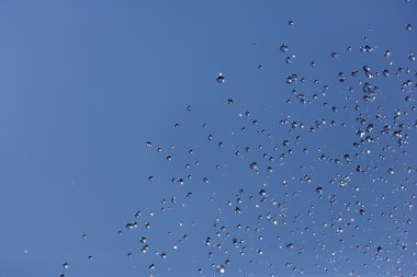 Almanya, Bavyera, Schaeftlarn, mavi gökyüzü karşı sıçramasına çeşme