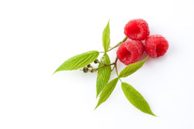 Ahududu ve yaprakları