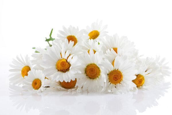 Маргарита, цветы...
