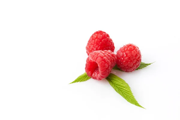 Raspberries and leaves Royalty Free Stock Photos