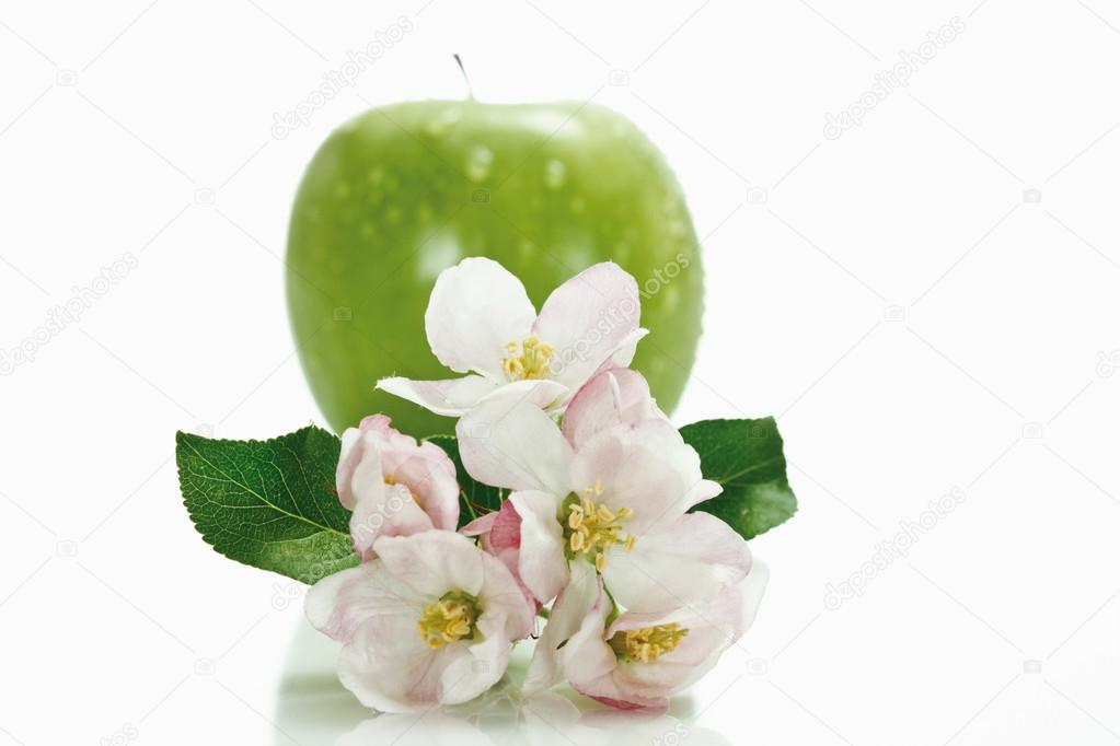 Stacked green apples, and apple blossom