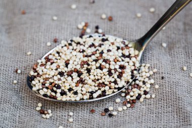 Organik quinoa tahıl tricolore kaşık üzerinde vegan