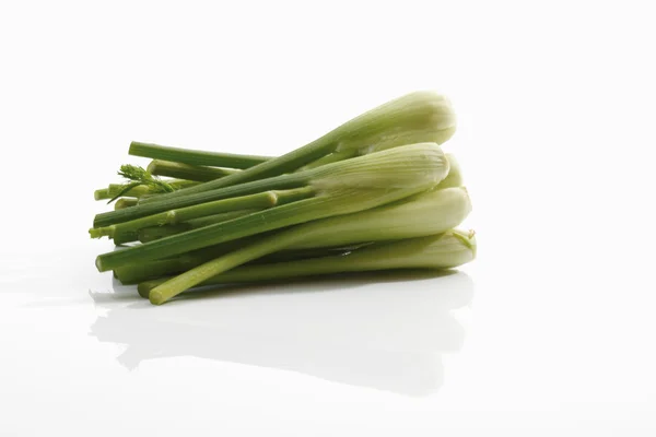 Baby Fenchel auf weißem Hintergrund — Stockfoto