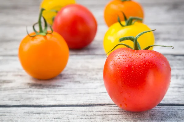 Tomatoes, orange, yellow and red — Stock Photo, Image