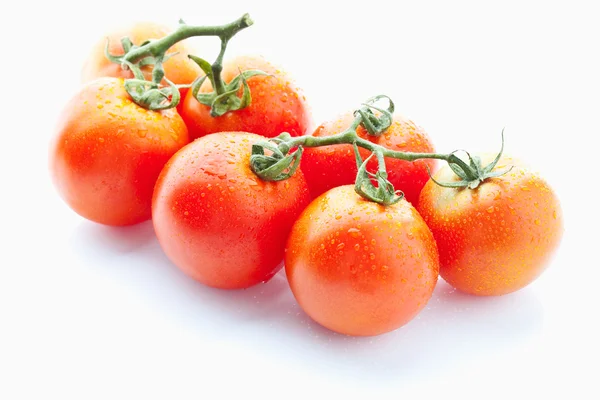 Tomates frescos sobre fondo blanco —  Fotos de Stock