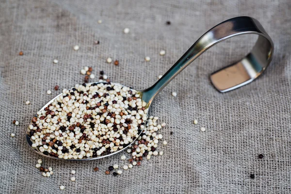 Ekologisk quinoa grain tricolore på sked, vegan — Stockfoto